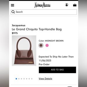 Jacquemus bag in the brown color large size!